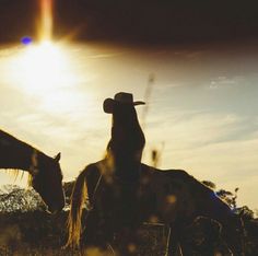 two horses standing next to each other in a field with the sun shining behind them