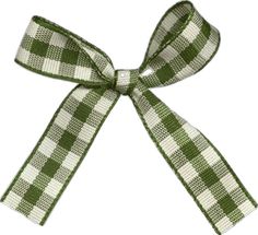 a green and white checkered ribbon with a bow