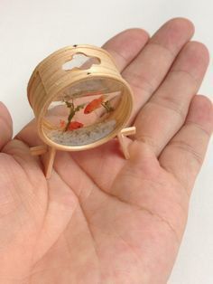 a hand holding a tiny wooden object with small fish inside it