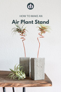 two cement planters sitting on top of a wooden table with air plants in them