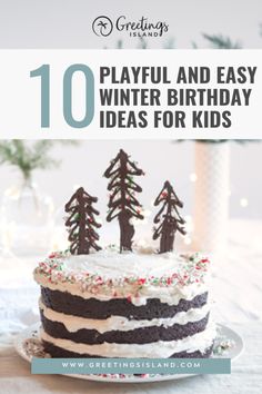 a winter birthday cake December 2nd Birthday Party Ideas, Ideas For Winter Birthday Parties, Twin Winter Birthday, Two Year Old Christmas Birthday Party, At Home Winter Birthday Party Ideas, Two Year Old December Birthday, Winter Birthday Two Year Old, First Birthday In December Ideas, Winter Theme Birthday