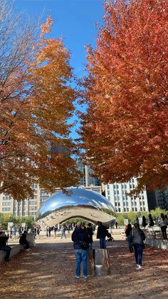 people are walking around in the park under trees with orange and red leaves on them