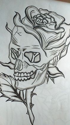 a drawing of a skull with roses on it