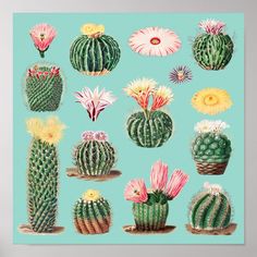 a bunch of cactus's on a blue background with pink, yellow and green flowers