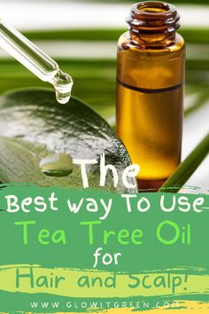 Find out how to get hair and scalp benefits of Tea Tree oil with Glowitgreen.com! This potent oil is fantastic for scalp issues and promoting hair growth! Tee Tree Oil For Hair, Tea Tree Hair Oil, Tea Tree Oil For Hair Dandruff, Tea Tree For Hair, Oil For Your Hair, Scalp Oil For Dry Scalp, Tea Tree Oil For Scalp, Tea Tree Oil For Hair Growth, Tea Tree Oil Uses For Hair