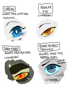 an image of different types of eyes