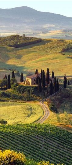 an image of a farm setting in the country side with trees and fields around it