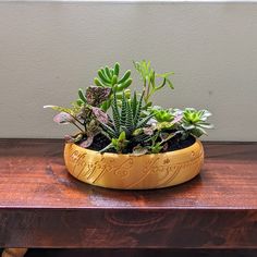 a potted plant sitting on top of a wooden table