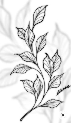 a black and white drawing of leaves