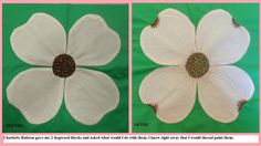 two pictures of white flowers with brown centers on green background, one showing the petals