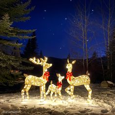 two lighted deer statues in the snow at night