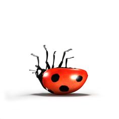 a red and black ladybug sitting on top of a white surface