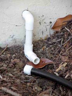 a white pipe laying on the ground next to a black hose and some brown leaves