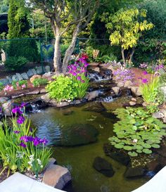 a small pond with water lilies and purple flowers in the center is surrounded by greenery