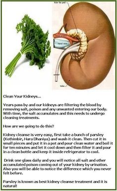 Massage For Women, Kidney Detox, Kidney Cleanse, Natural Colon Cleanse, Liver Detox, Kidney Health