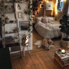 a dog laying on the floor next to a bed in a room filled with plants