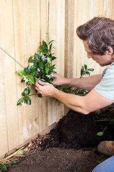 a man is placing flowers in the ground near a wooden fence with dirt and mulch