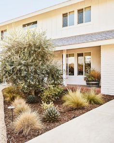 a white house with plants in front of it