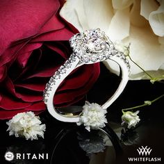 a white diamond ring sitting on top of a table next to a red and white rose