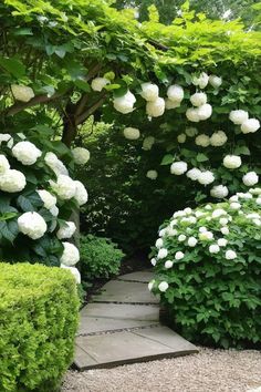 a garden with white flowers and greenery on the sides, along with stone walkway