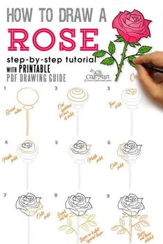 how to draw a rose step - by - step guide with printable drawing guide