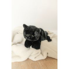 a black cat laying on top of a white blanket