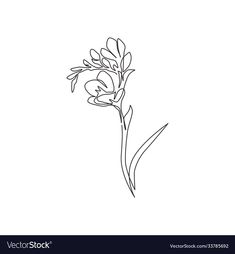 a single flower line drawing on a white background