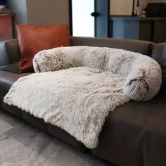 a dog bed on a couch in a living room