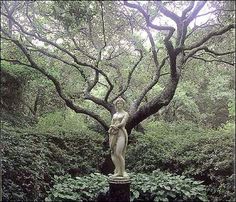 a statue in the middle of a lush green forest