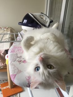 a white cat laying on top of a bed next to an iron and clothes rack