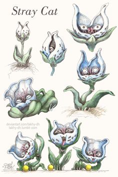 an image of various flowers and plants drawn in watercolor on white paper with the words stray