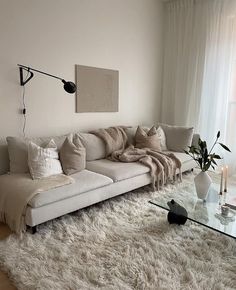 a living room filled with furniture and a glass table on top of a shaggy rug