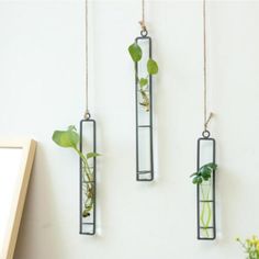 three hanging planters with plants in them