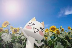 a white cat standing in the middle of a field of sunflowers