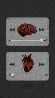 the heart and brain are shown in two different images, one is black with white arrows