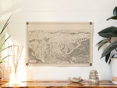 an old map hangs on the wall above a wooden table with potted plants and other items