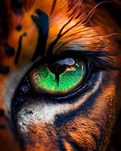 the eye of a tiger with green and orange colors on it's iris is shown