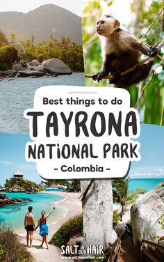 the best things to do in tayrona national park, colombia