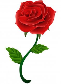 a red rose with green leaves on a white background