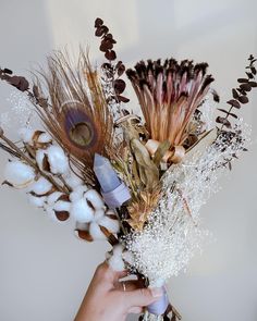 a person holding a bouquet of dried flowers and cotton in their left hand, with the stems still attached to it