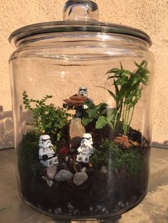 a glass jar filled with plants and star wars figurines