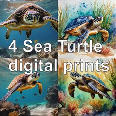 four sea turtle digital prints with the words, 4 sea turtle digital prints on them