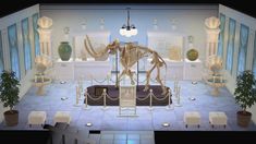 an animal skeleton is on display in a room with many vases and other items