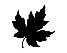 a black and white silhouette of a leaf