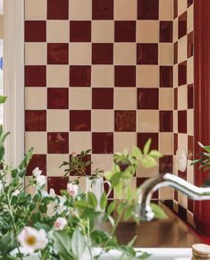 the kitchen sink is surrounded by potted plants