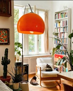 a living room filled with furniture and lots of plants