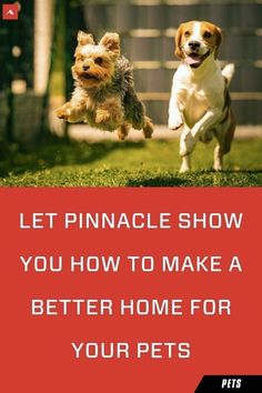 two dogs running in the grass with text that reads let pinnacle show you how to make a better home for your pets