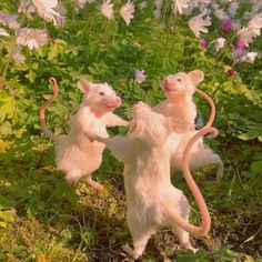 two toy mice playing with each other in the grass surrounded by wildflowers and daisies