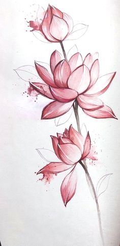 a drawing of two pink flowers on a white paper