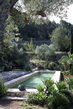 an outdoor swimming pool surrounded by greenery and trees